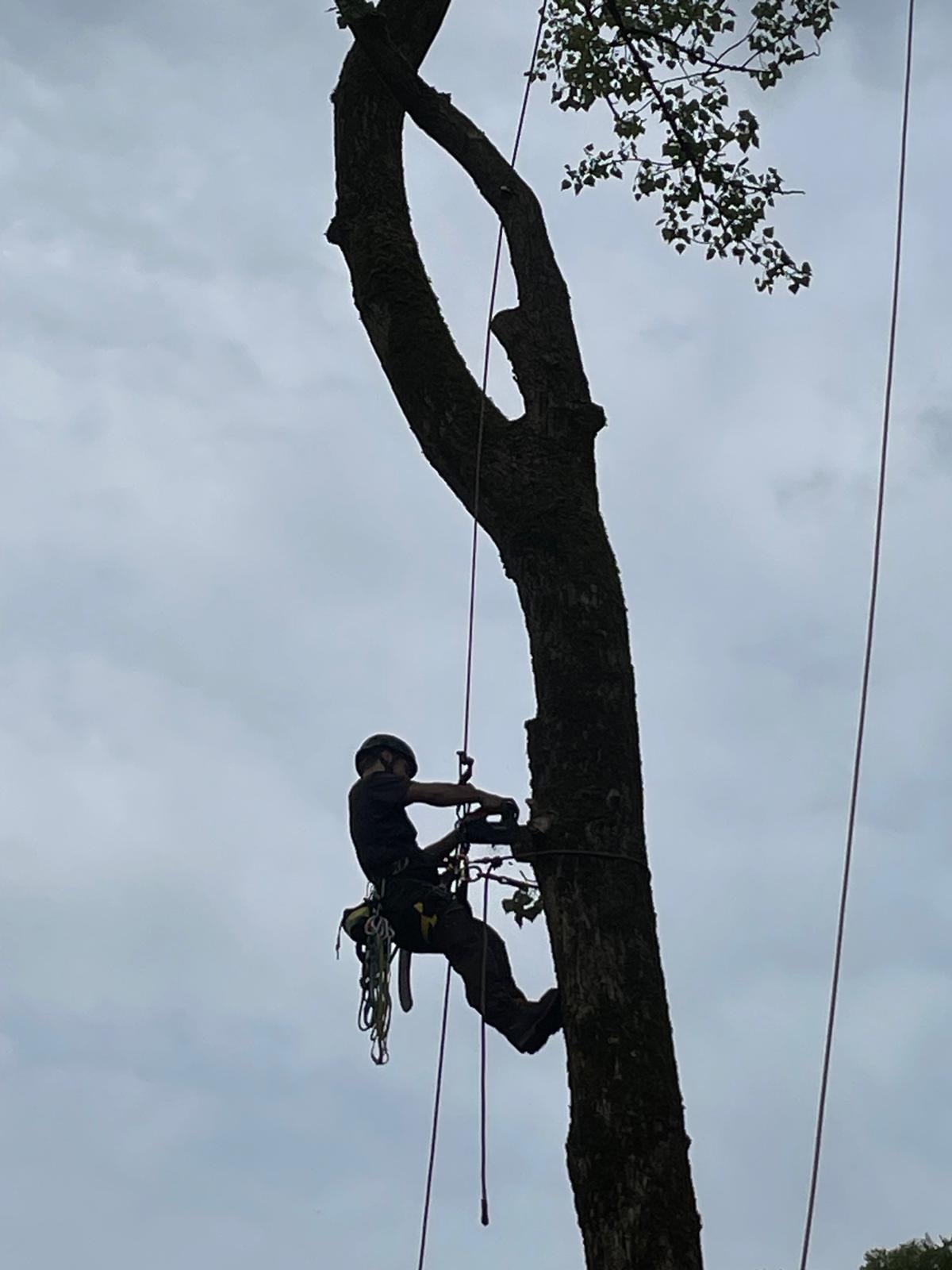 Sturmschaden beseitigen