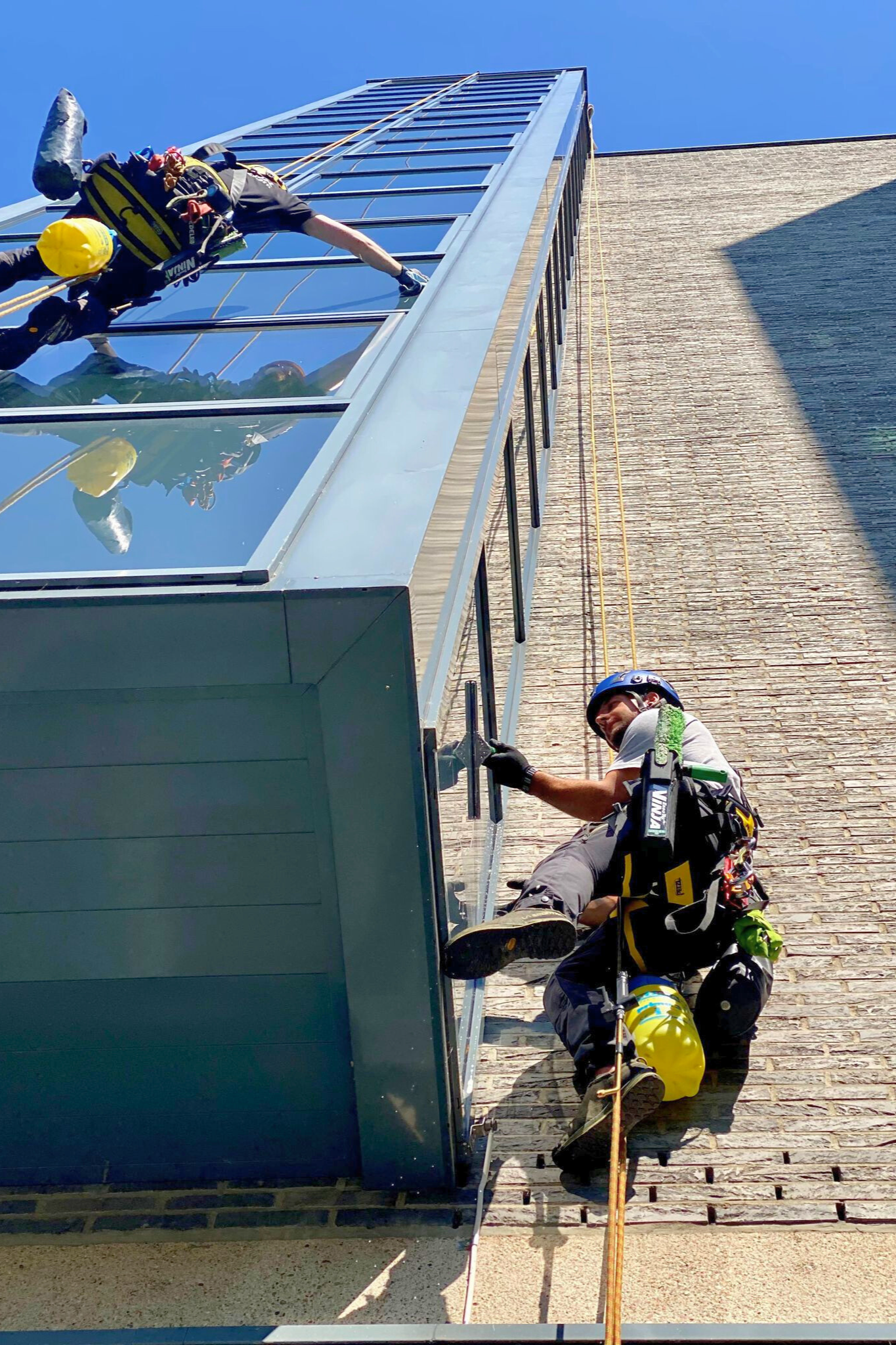 Zwei Industriekletterer bei der professionellen Glas- und Fassadenreinigung an einem modernen Bürogebäude