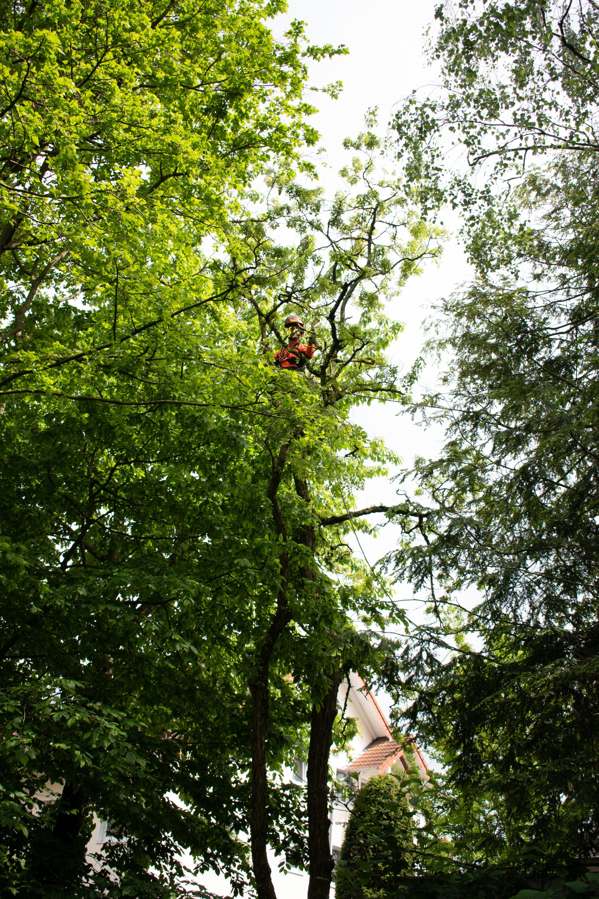 Lichtraumprofil-Schnitt über einem Weg